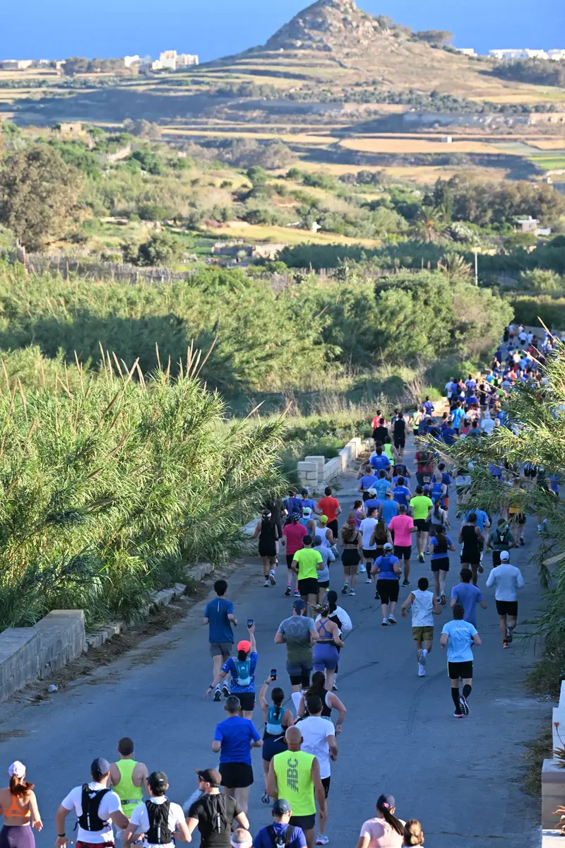 The field running along a country road through the Gozitan countryside towards the sea