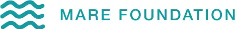 Mare Foundation